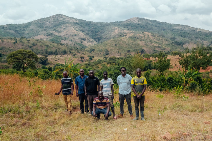 Mandomashe, Tanzania - Washed