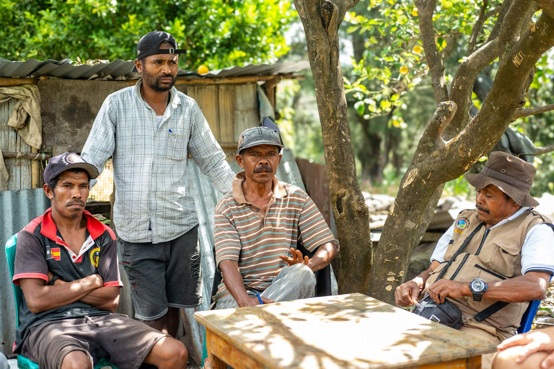 AILEU TIMOR-LESTE (WASHED)