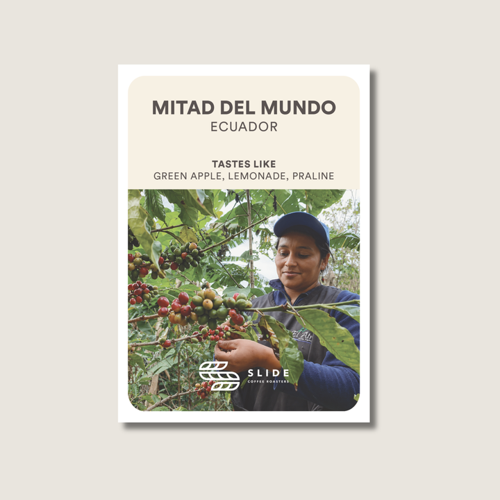 MITAD DEL MUNDO | ECUADOR (HONEY)