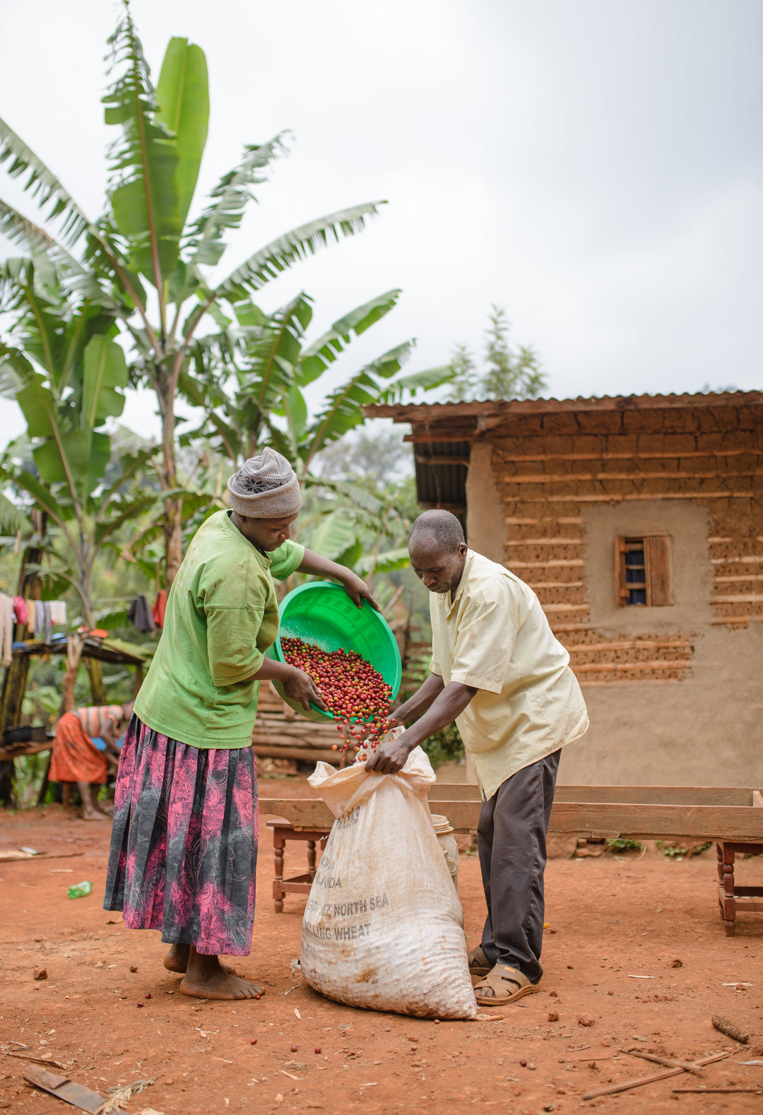 ORGANIC UGANDA (WASHED)