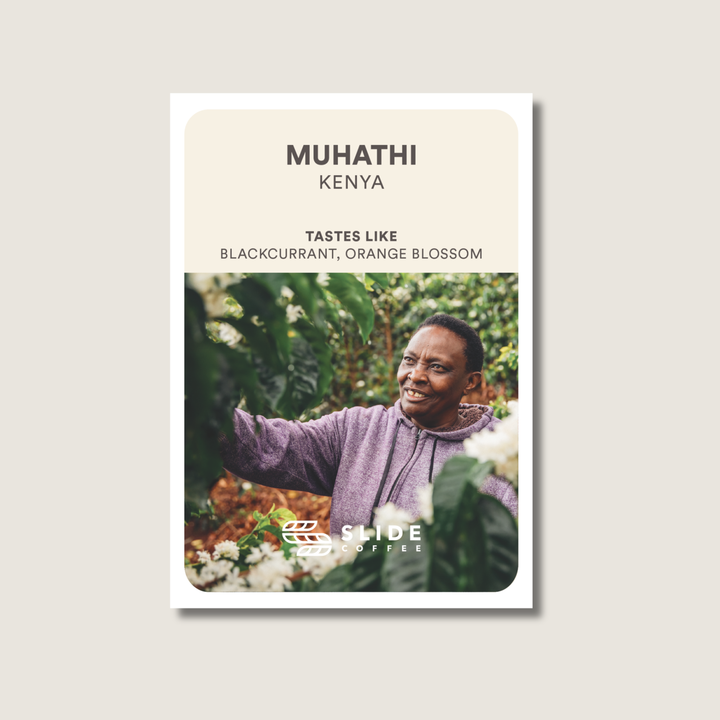 Muhathi, Kenya - Washed