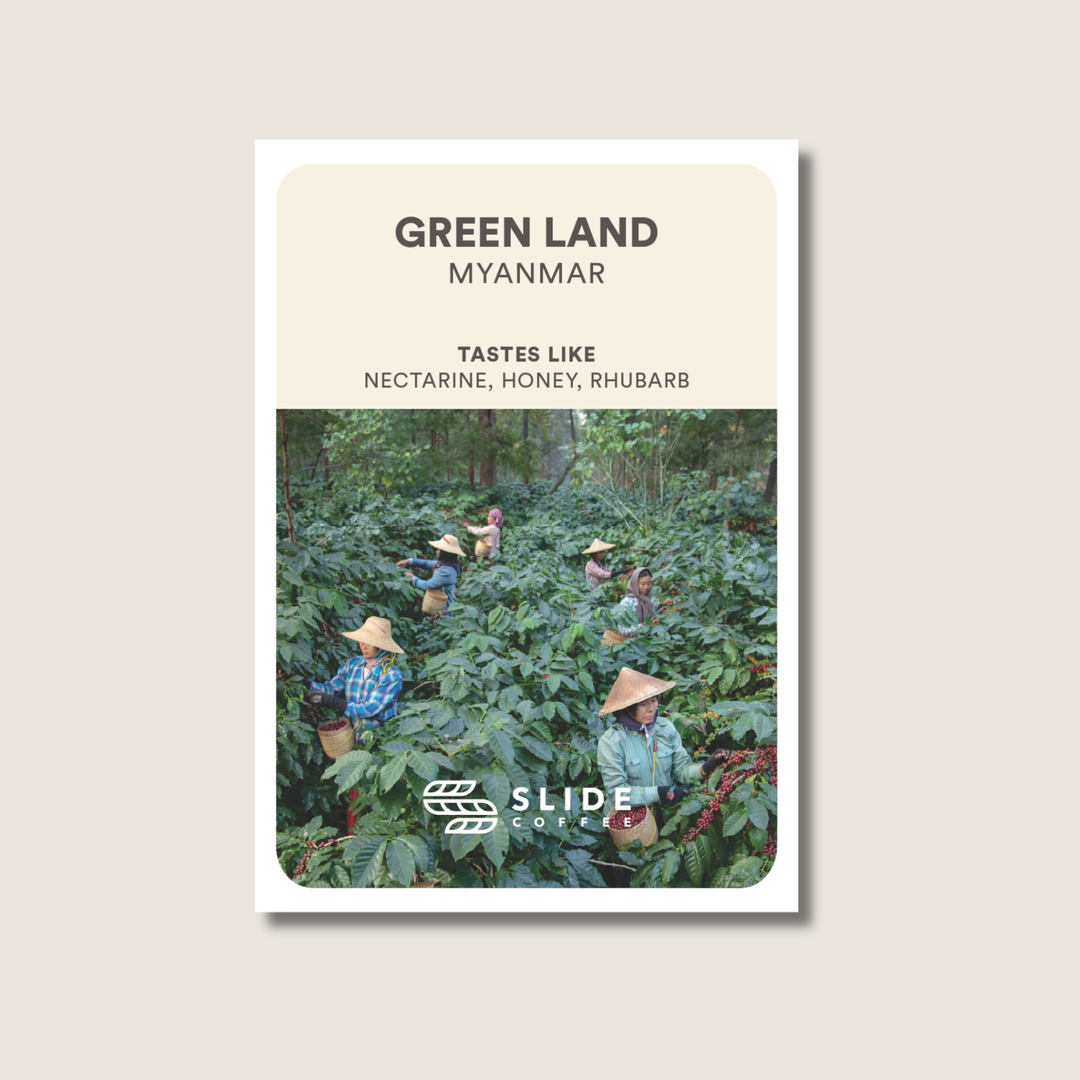 Green Land, Myanmar - Natural