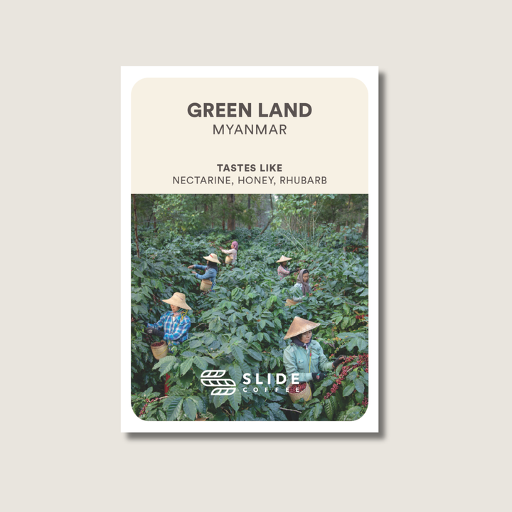 Green Land, Myanmar - Natural