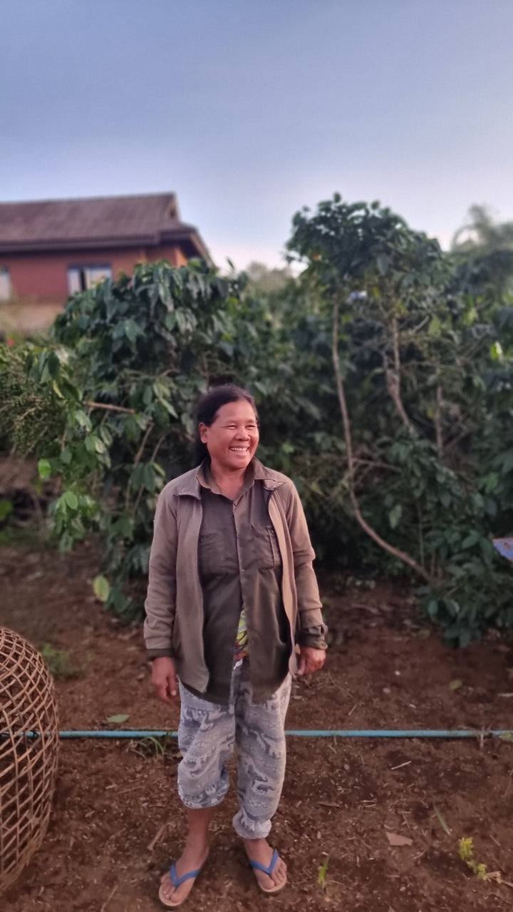 NONG KALI LAOS (HONEY) - Filter Roast