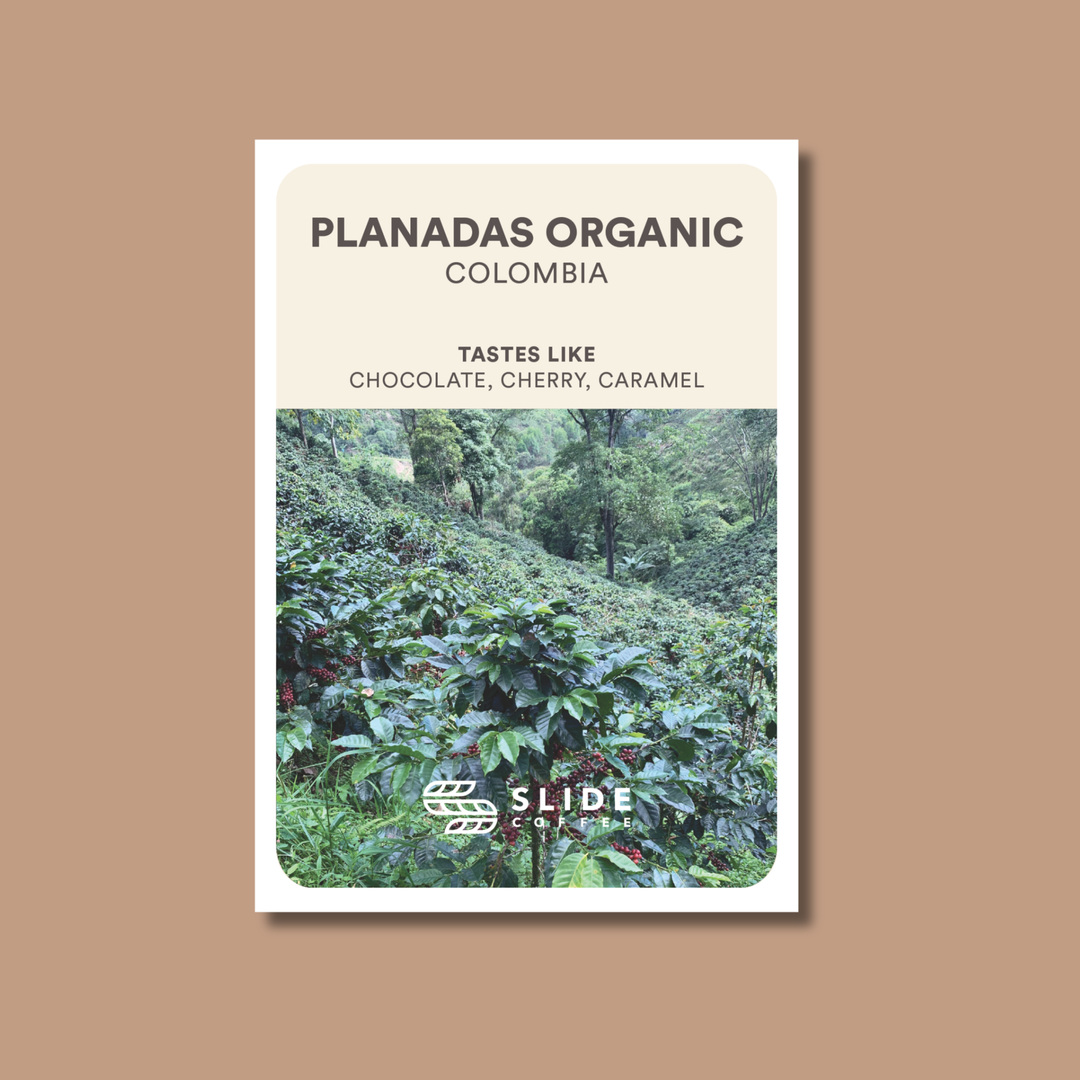 Planadas Organic, Colombia - Washed