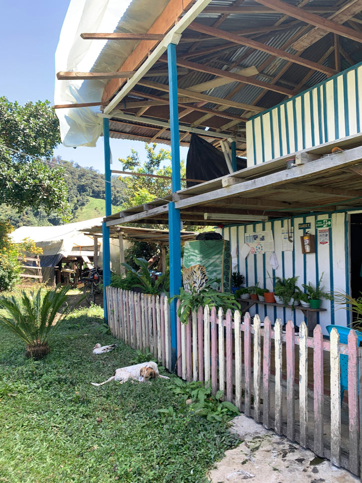 Planadas Organic, Colombia - Washed