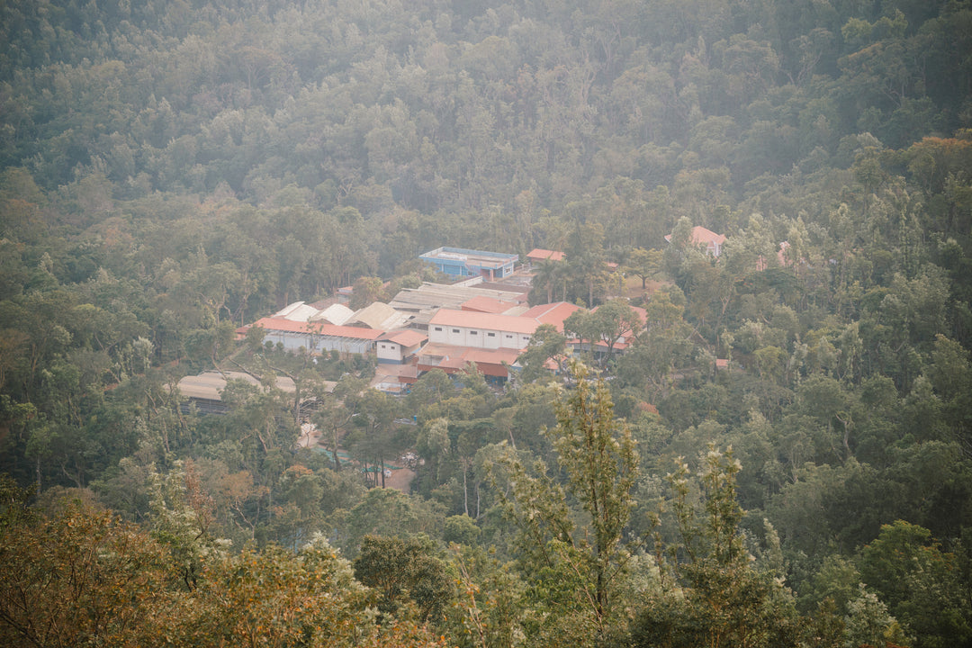 Ratnagiri RDN3-1, India - Natural