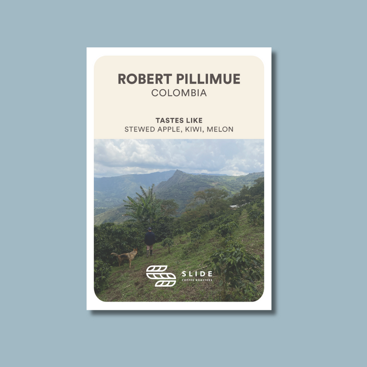 ROBERT PILLIMUE COLOMBIA (WASHED) - Filter Roast