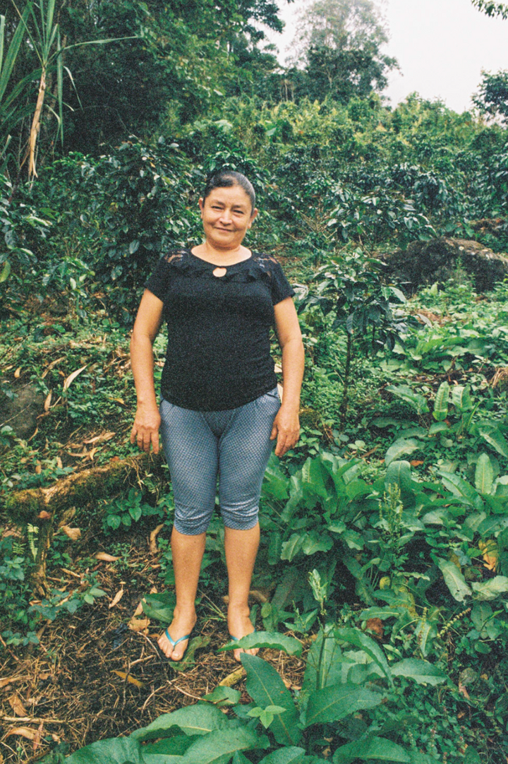 Rosa Mego, Peru - Washed