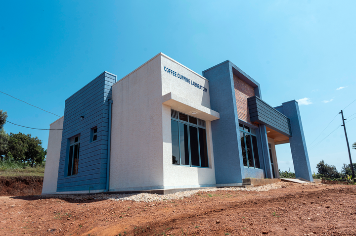 MICHEL DUSENGIMANA RWANDA (WASHED)