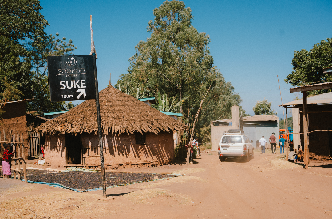 SHOONDHISA ETHIOPIA (NATURAL)