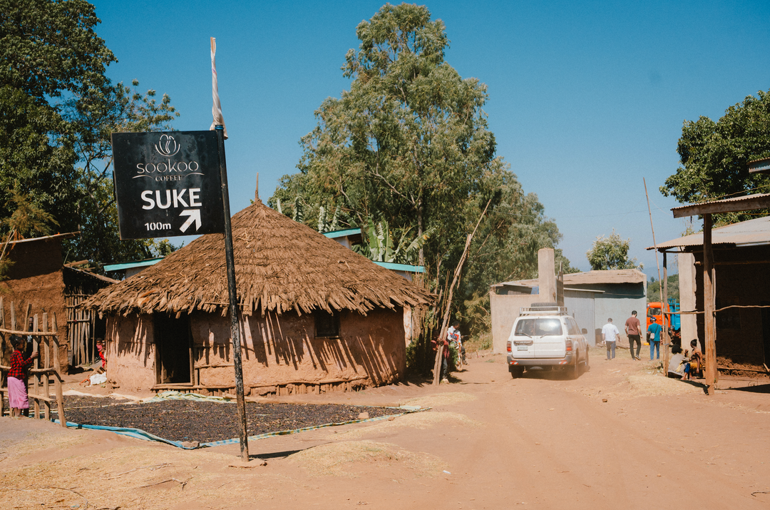 BOOKKISA ETHIOPIA (WASHED)