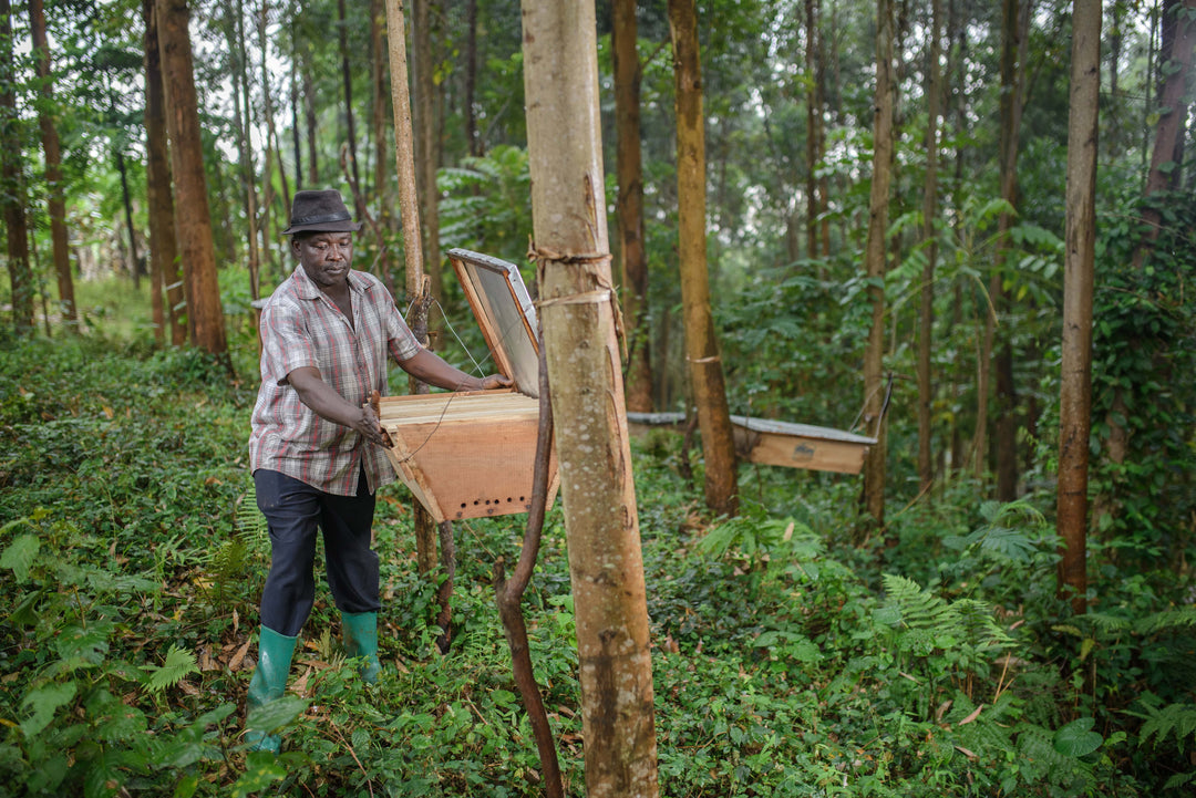 ORGANIC UGANDA (WASHED)