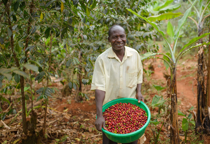 ORGANIC UGANDA (WASHED)