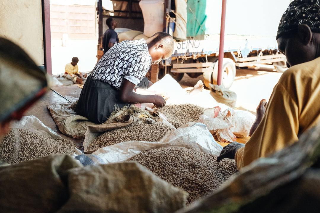 ZUKUKA BORA UGANDA (NATURAL)