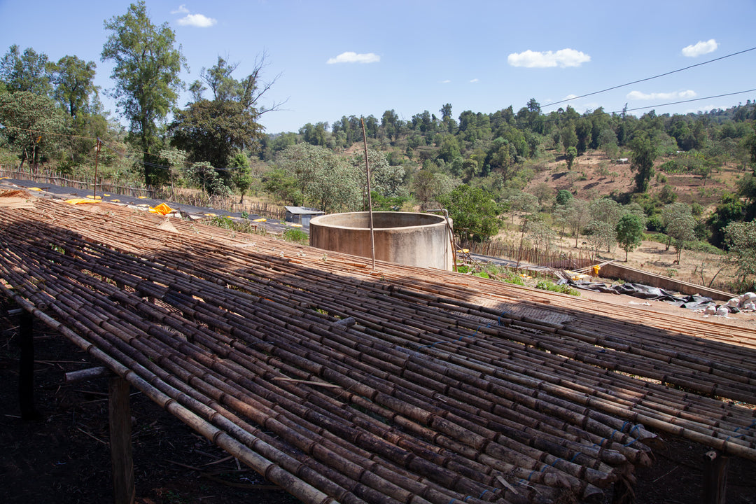Jigesa, Ethiopia - Natural