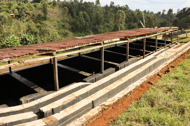 Kiangundo, Kenya - Washed