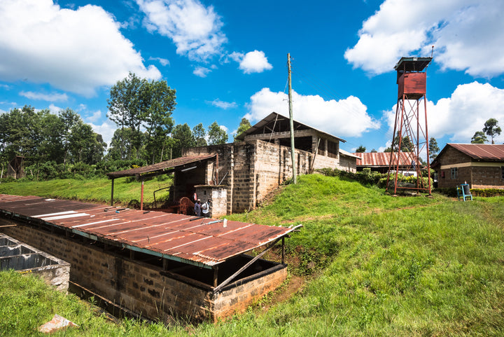 Kiangundo, Kenya - Washed