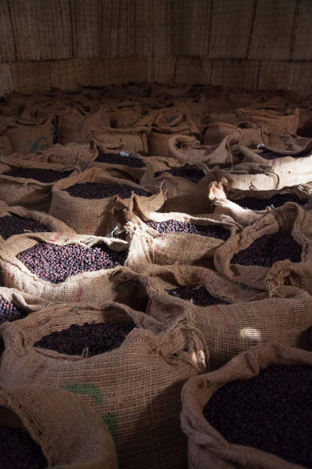 Jigesa, Ethiopia - Natural