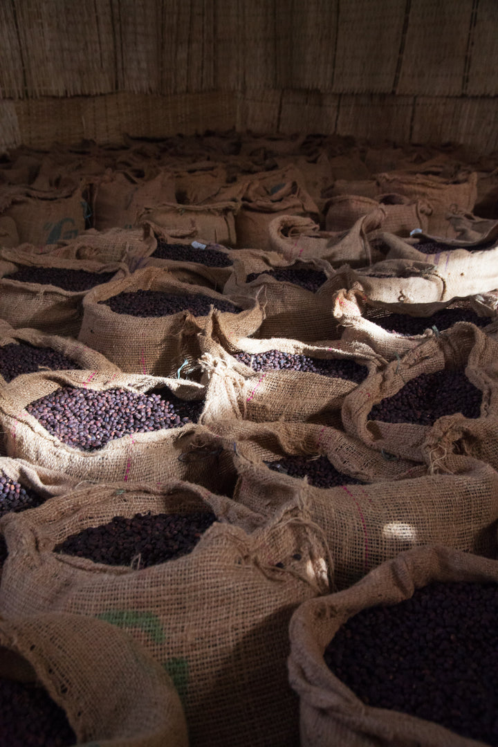 Jigesa, Ethiopia - Natural