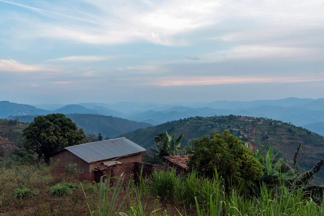 MICHEL DUSENGIMANA RWANDA (WASHED)