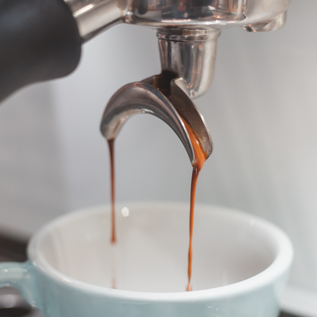 Roasted Sip Espresso Single Origin - Roasters Pick – Slide Coffee Roasters